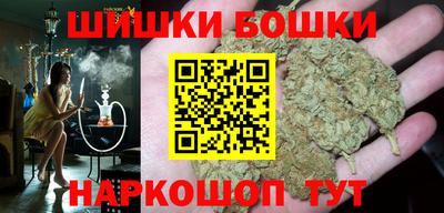 гашик Кингисепп