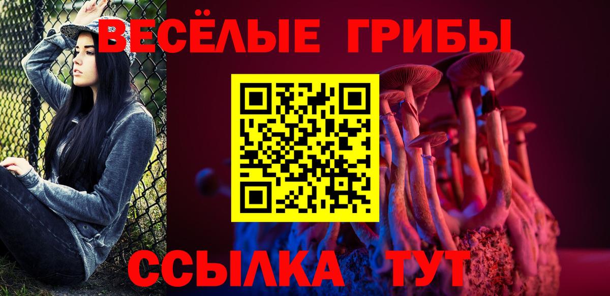 даркнет сайт  Псилоцибиновые грибы ЛСД  Вход с VPN  Чебоксары 