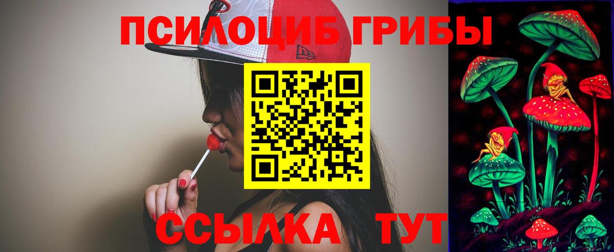 Псилоцибиновые грибы Cubensis Чебоксары